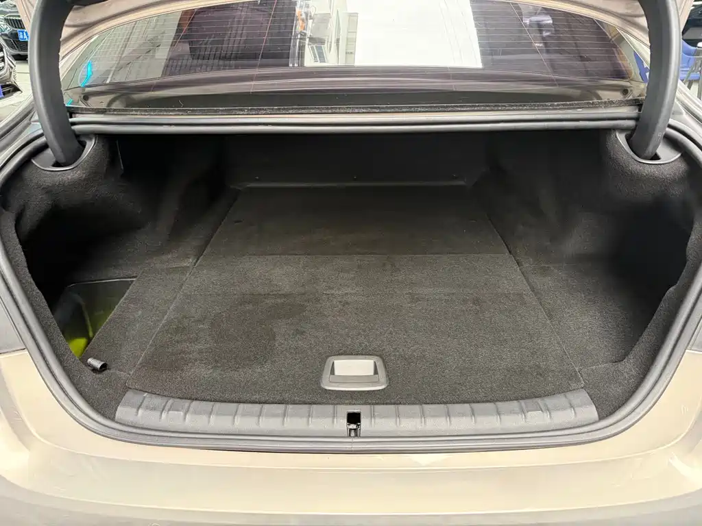 BMW 5 Series New Energy 530Le Luxury Package, фото 17