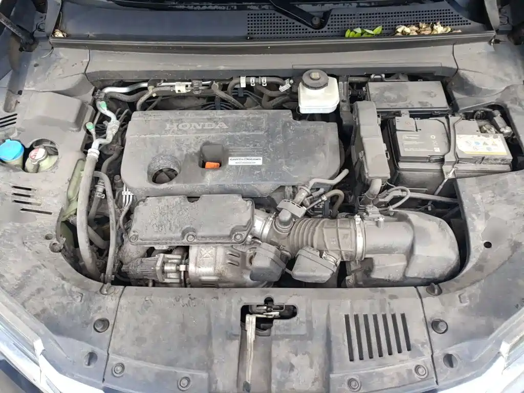 Honda Avancier — миниатюра 11