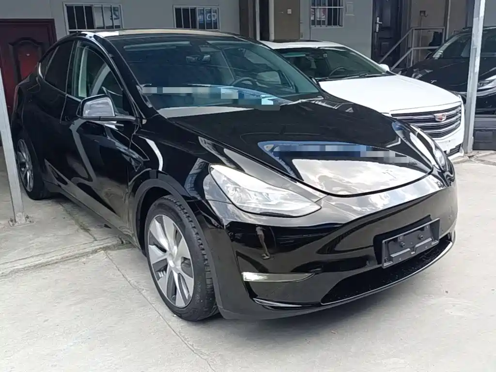 Tesla Model Y — миниатюра 4