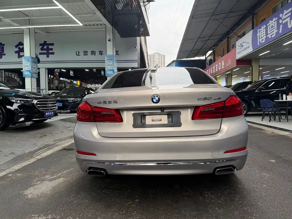 BMW 5 Series New Energy 530Le Luxury Package, фото 22