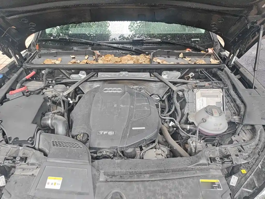 Audi Q5L — миниатюра 11