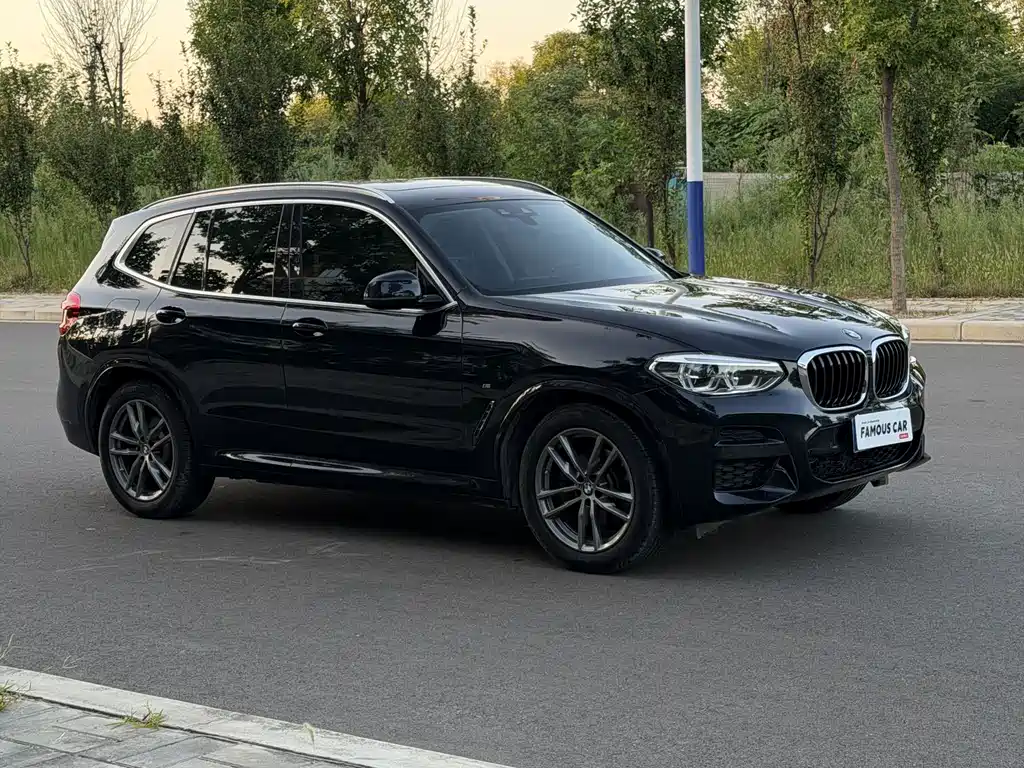 BMW X3 — миниатюра 2