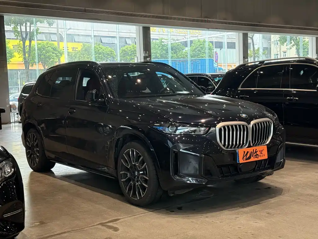 BMW X5 — миниатюра 3