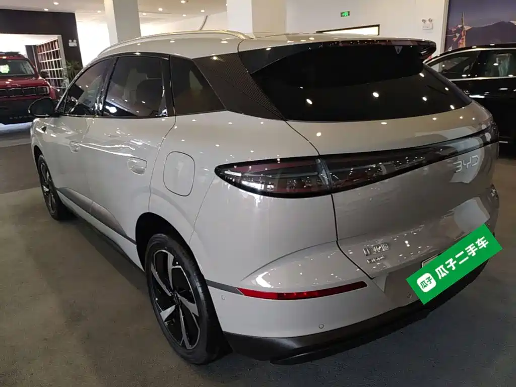 BYD Haisi 06 — миниатюра 5