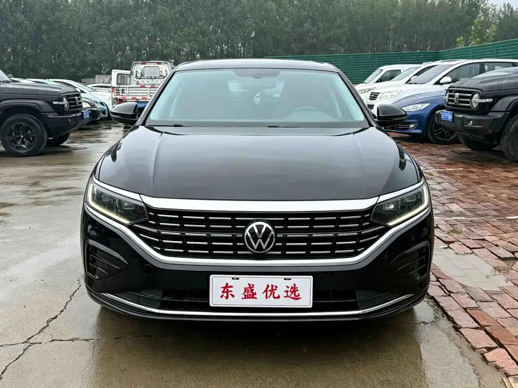 Volkswagen Passat — миниатюра 2