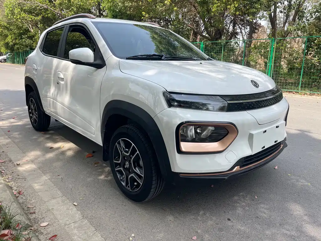 Dongfeng Box 2022 Champion 201KM