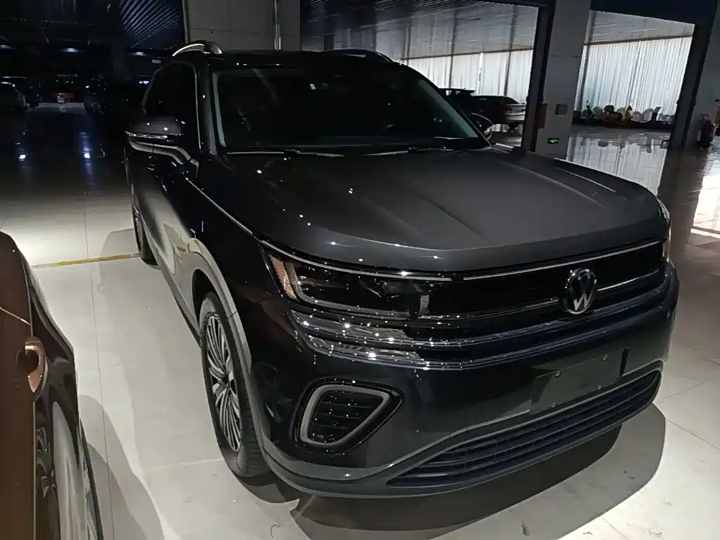 Volkswagen Tavendor — миниатюра 4