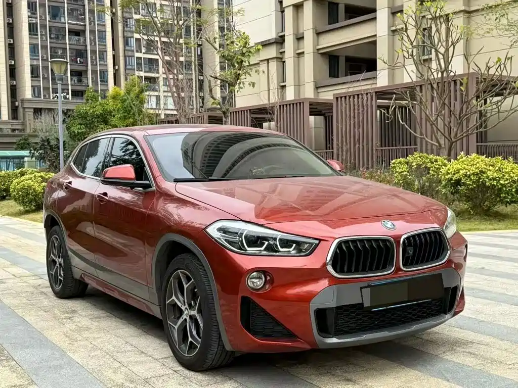 BMW X2 (Import) — миниатюра 2