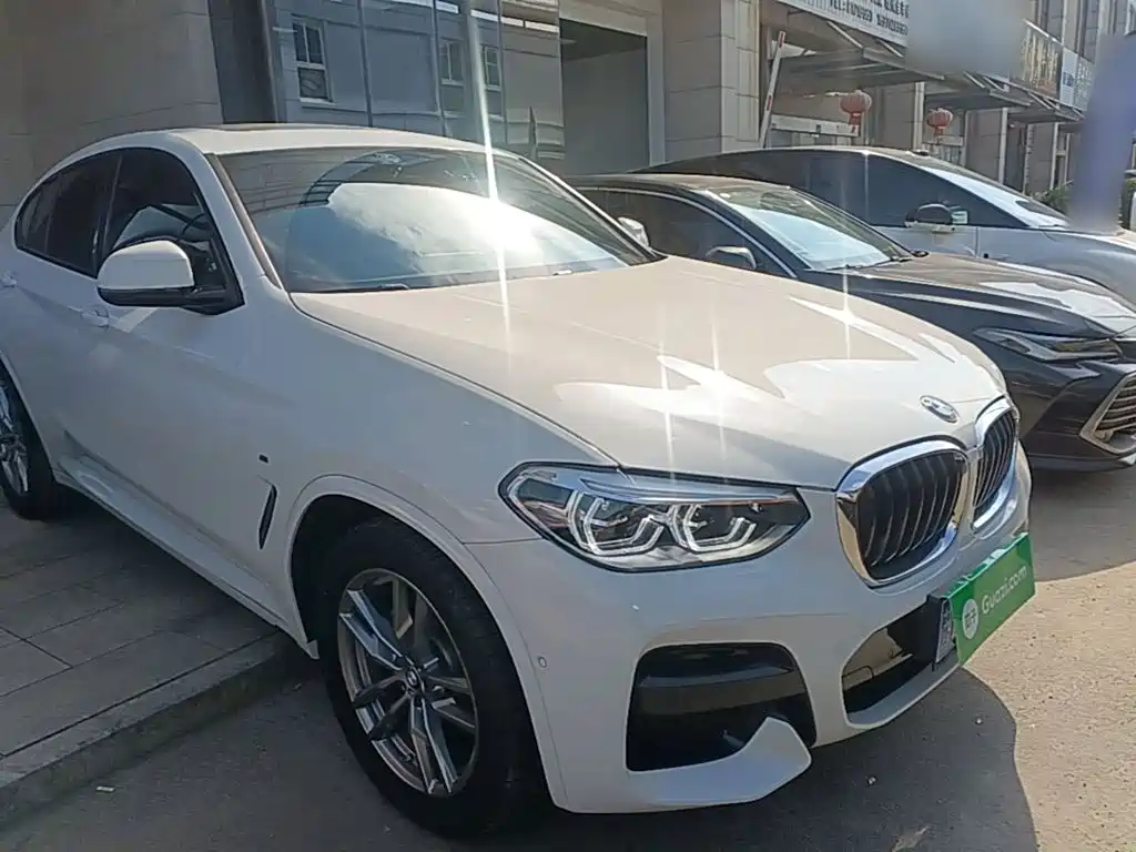 BMW X4 — миниатюра 4
