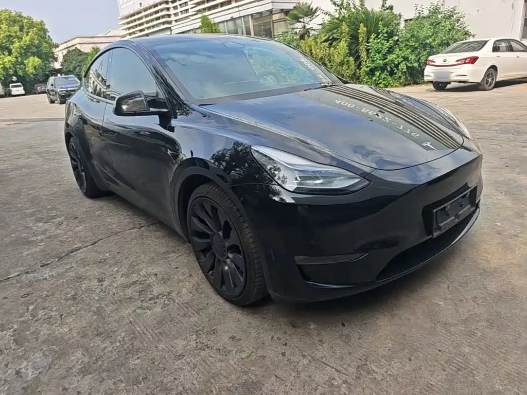 Tesla Model Y — миниатюра 4