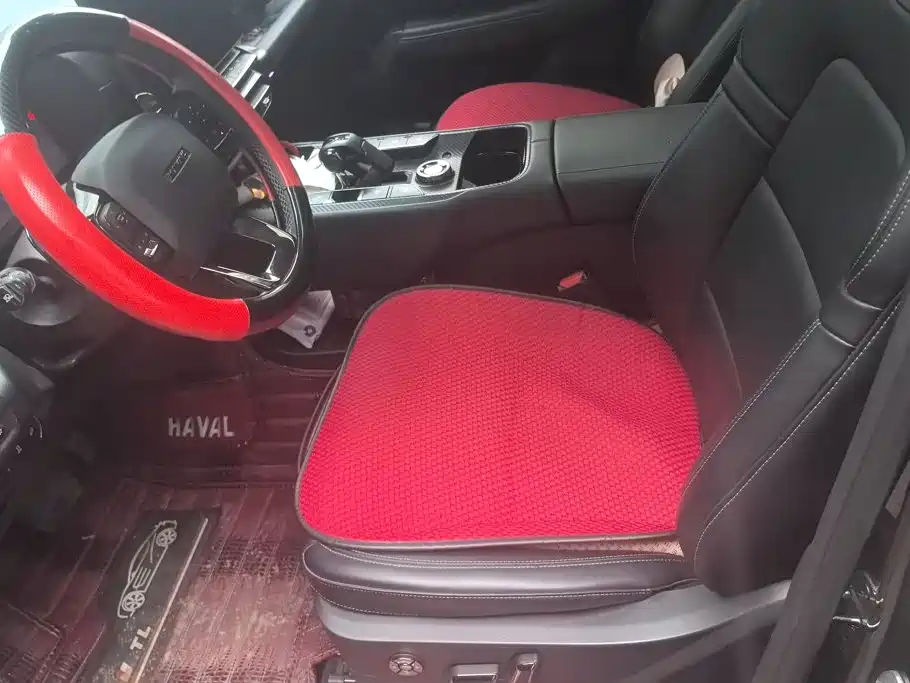 Haval Big Dog PLUS — миниатюра 9