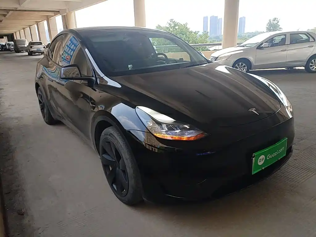 Tesla Model Y — миниатюра 4