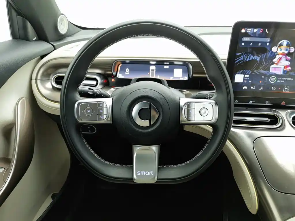 smart Smart #1 — миниатюра 11