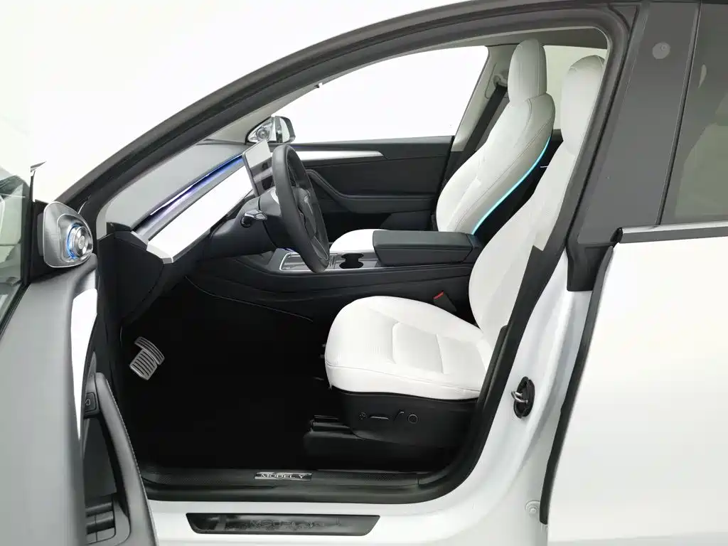Tesla Model Y — миниатюра 10