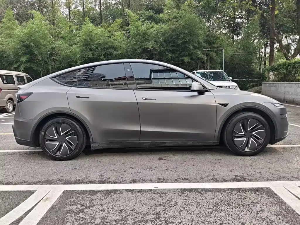 Tesla Model Y — миниатюра 4
