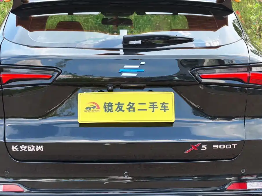 Oshan Oushang X5 — миниатюра 18