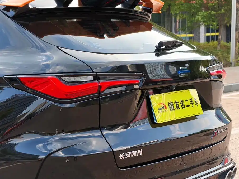 Oshan Oushang X5 — миниатюра 12