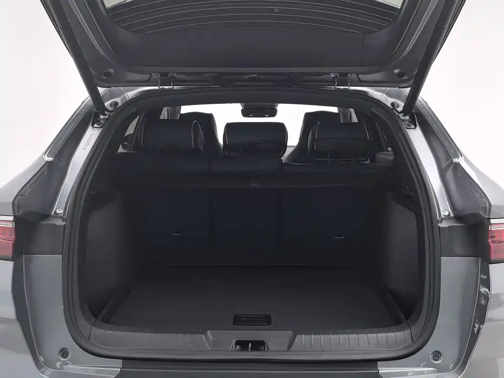 BYD PLUS New Energy — миниатюра 16