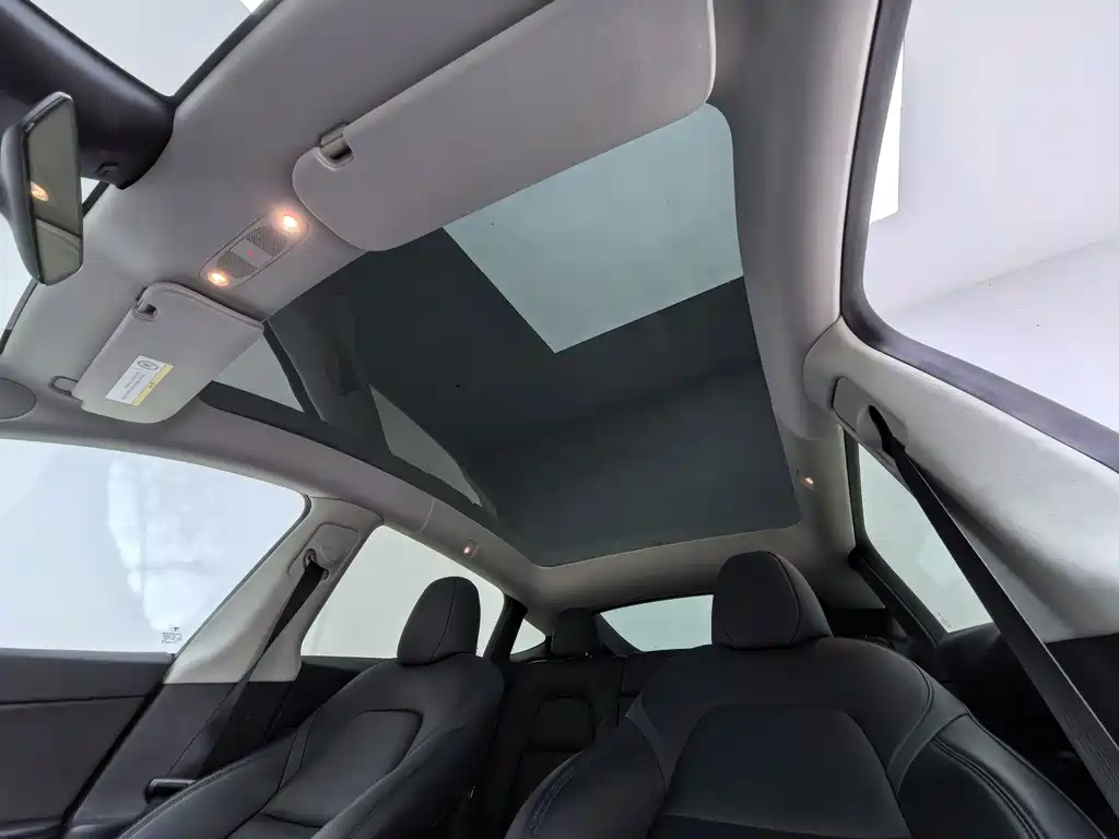Tesla Model Y — миниатюра 16
