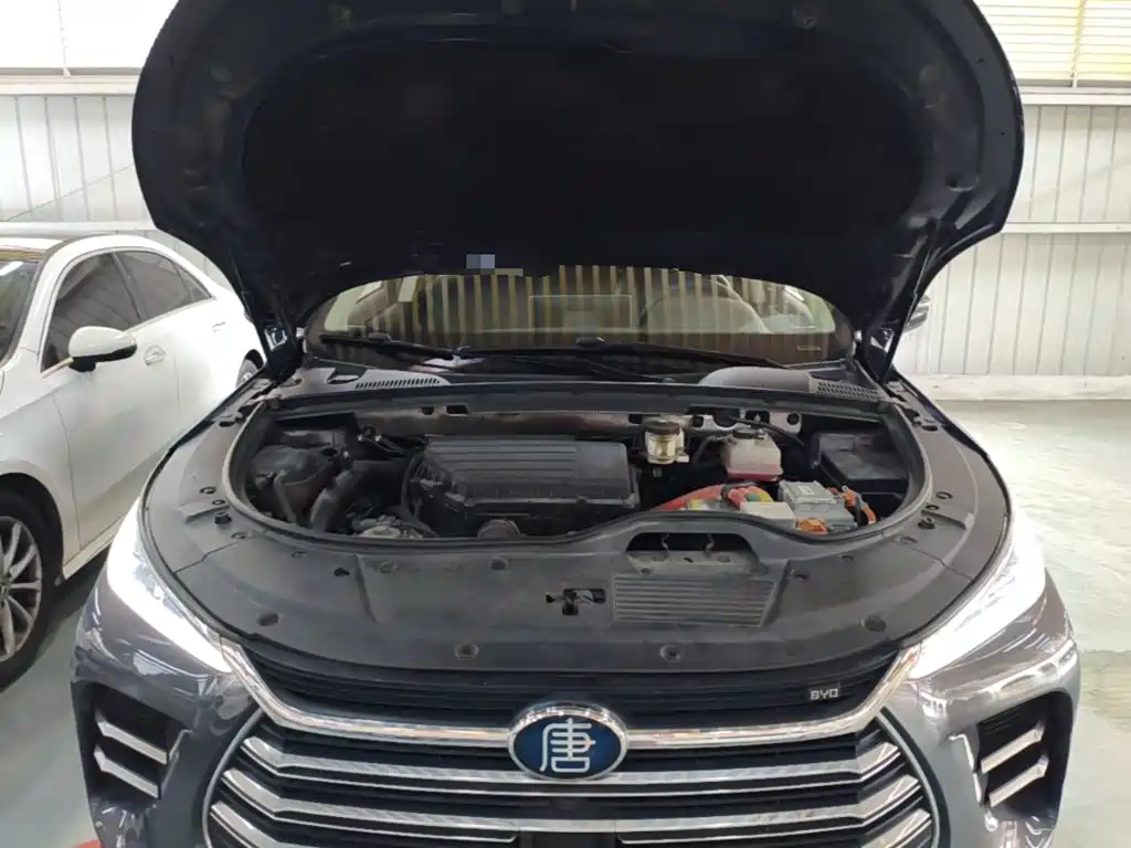 BYD Tang New Energy — миниатюра 20