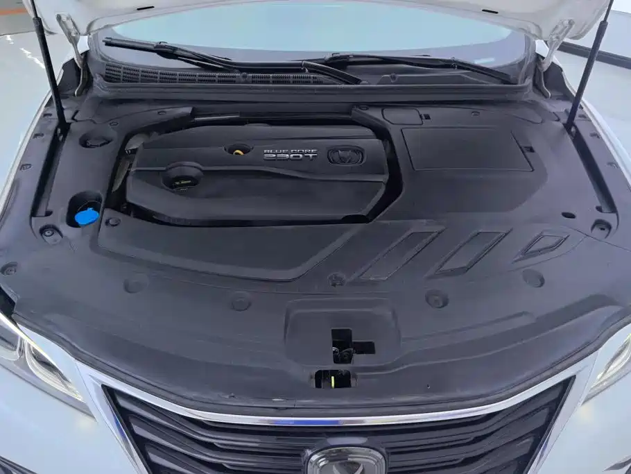 Changan Ruicheng CC — миниатюра 10