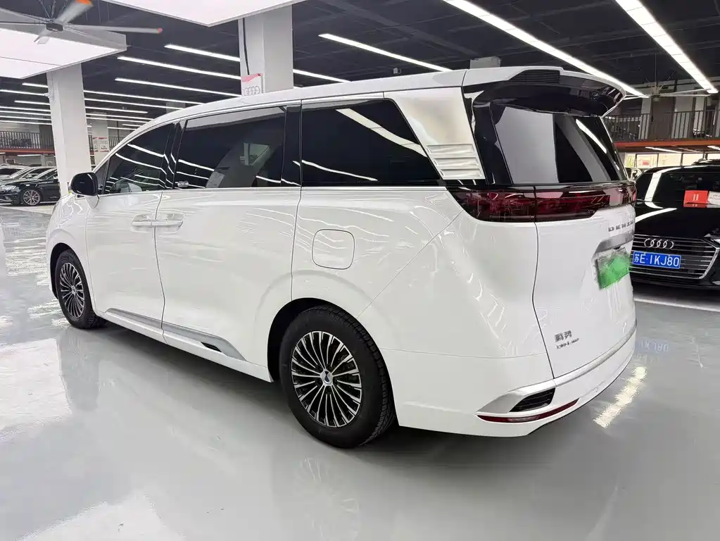 Denza Denza D9 — миниатюра 16