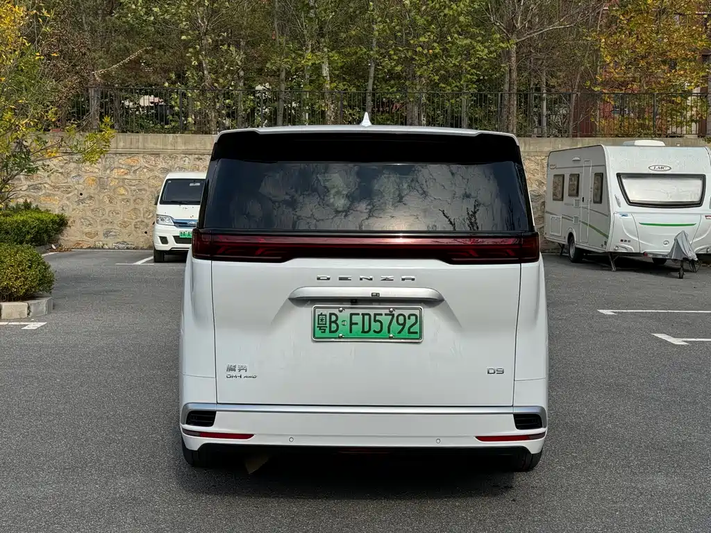 Denza Denza D9 — миниатюра 9