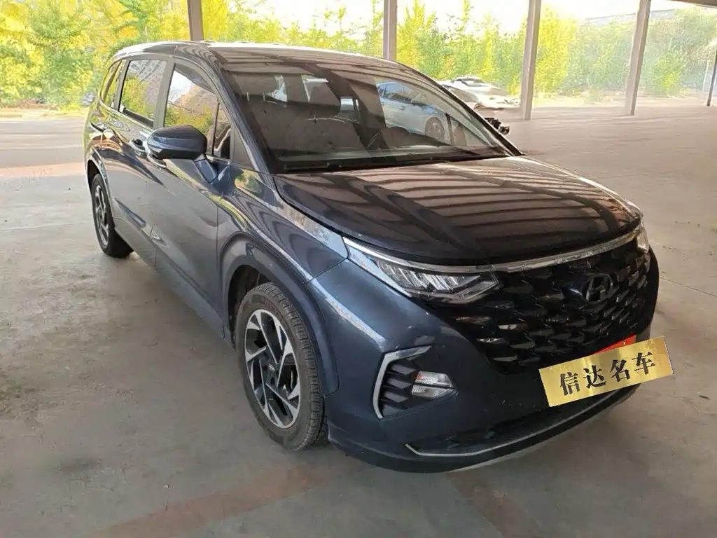 Hyundai Custo — миниатюра 2