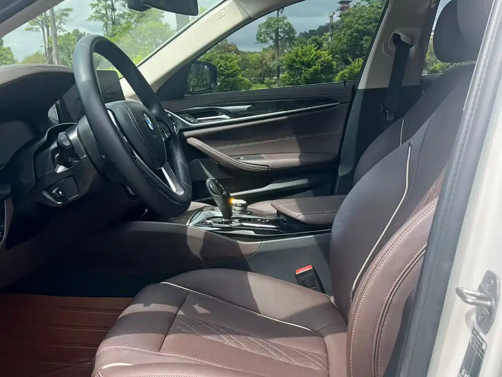 BMW 5 Series 5 2022 525Li Luxury