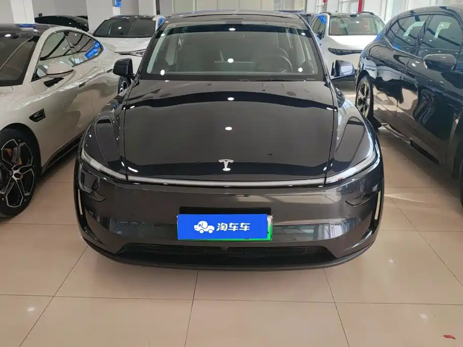 Tesla Model Y — миниатюра 2
