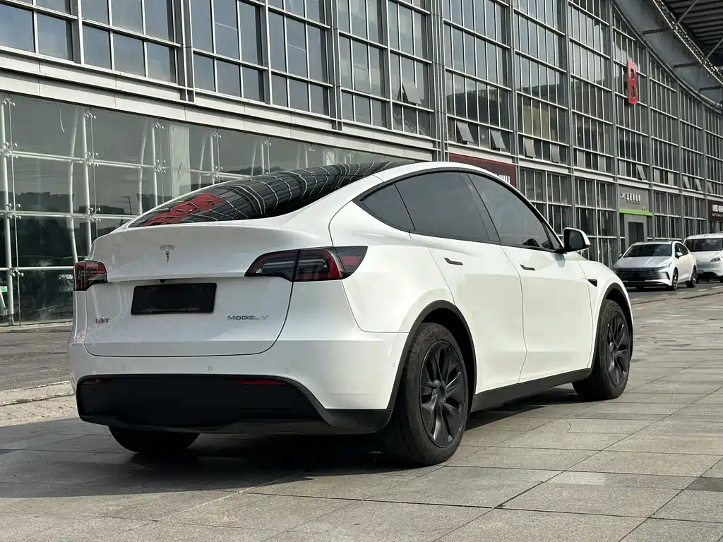 Tesla Model Y — миниатюра 6
