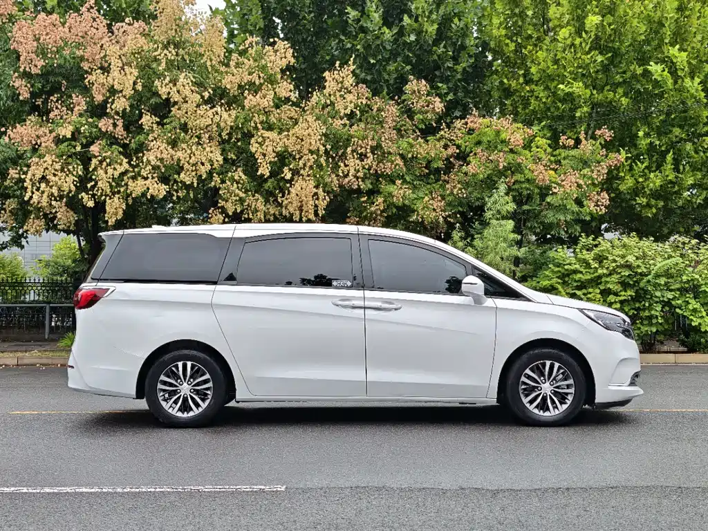 Buick GL8 — миниатюра 19