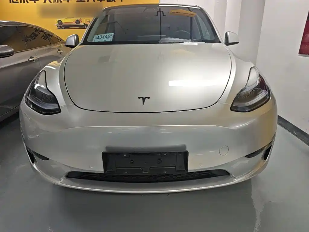 Tesla Model Y — миниатюра 3