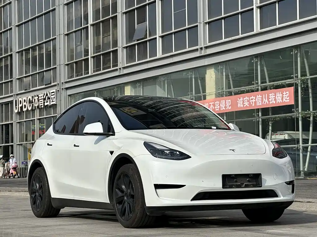 Tesla Model Y — миниатюра 3