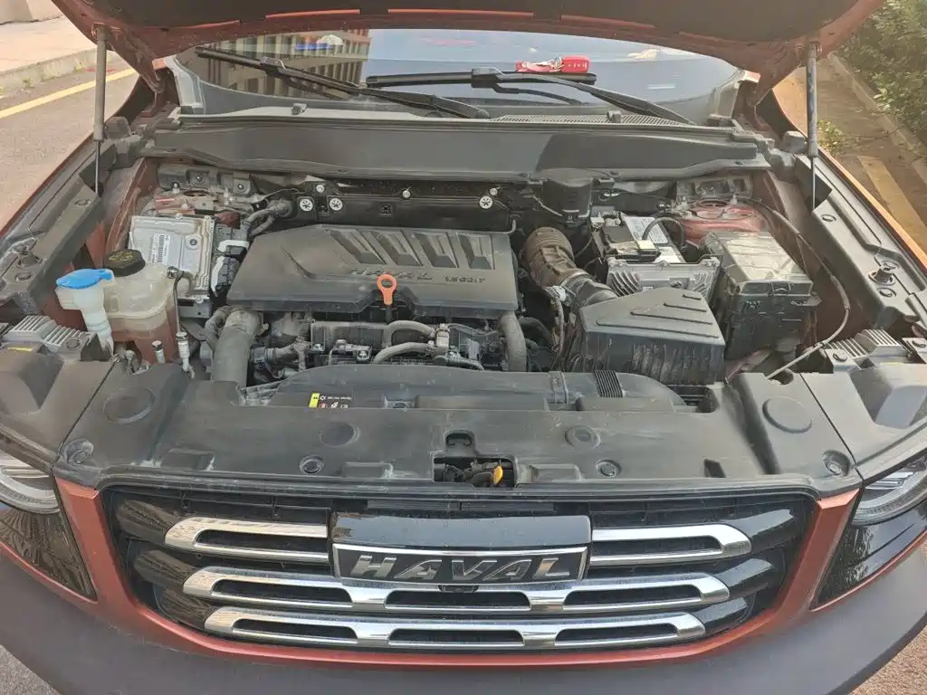 Haval Big Dog — миниатюра 16