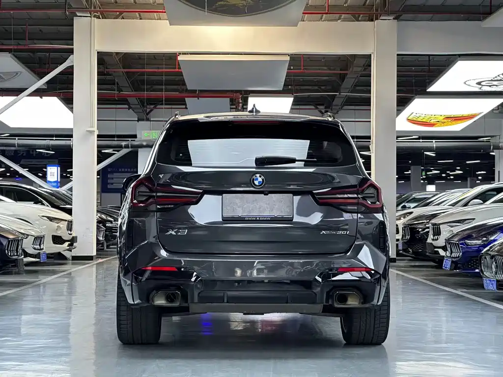 BMW X3 — миниатюра 9