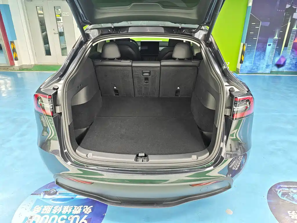 Tesla Model Y — миниатюра 20