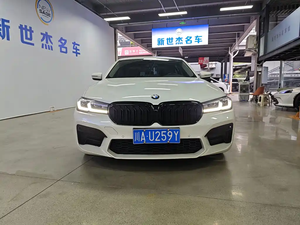 BMW 5 Series — миниатюра 2