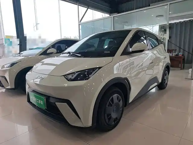 BYD Seagull
