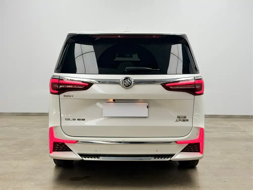 Buick GL8 — миниатюра 5