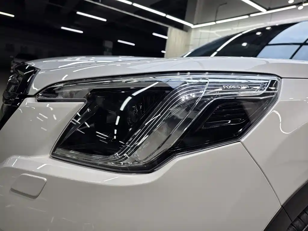 Subaru Forester — миниатюра 7