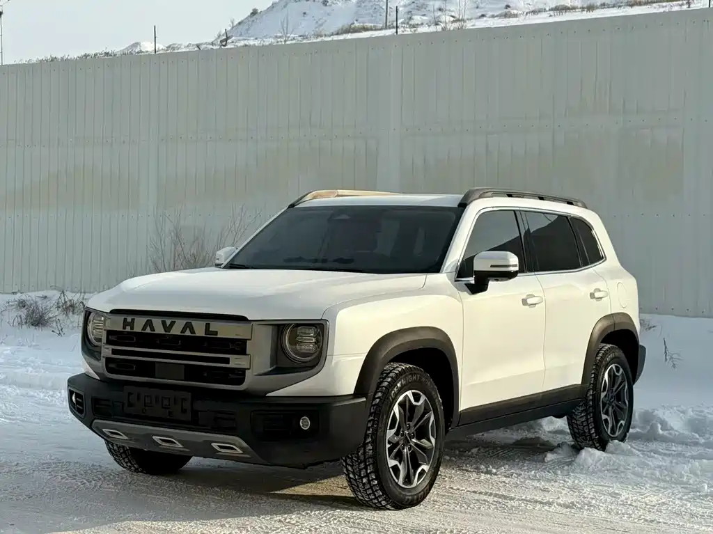 HAVAL BIG DOG
