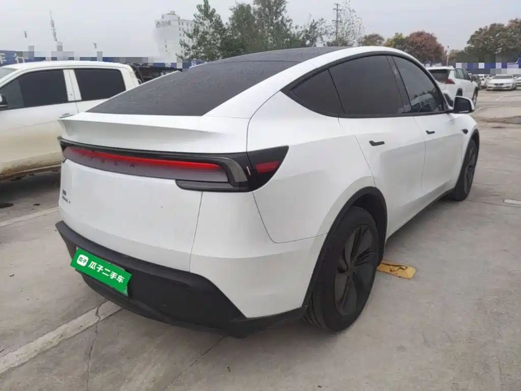 Tesla Model Y — миниатюра 7