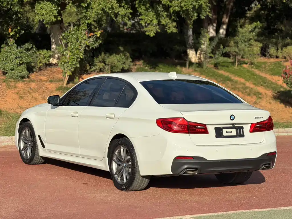 BMW 5 Series (Import) — миниатюра 4