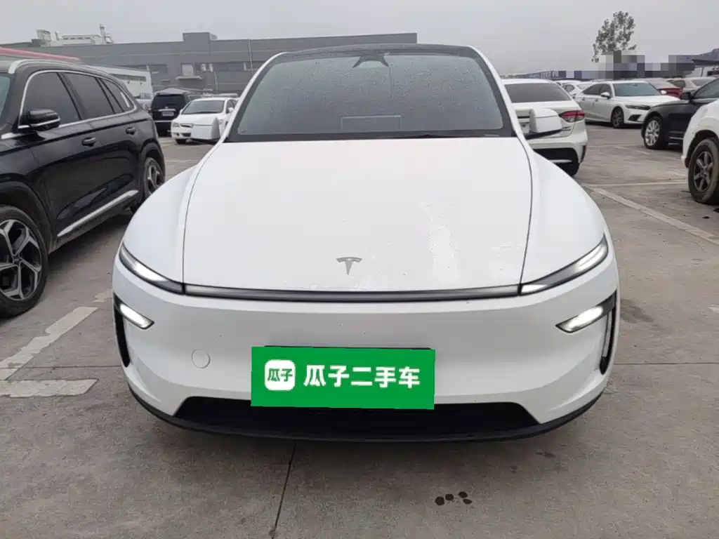 Tesla Model Y — миниатюра 3