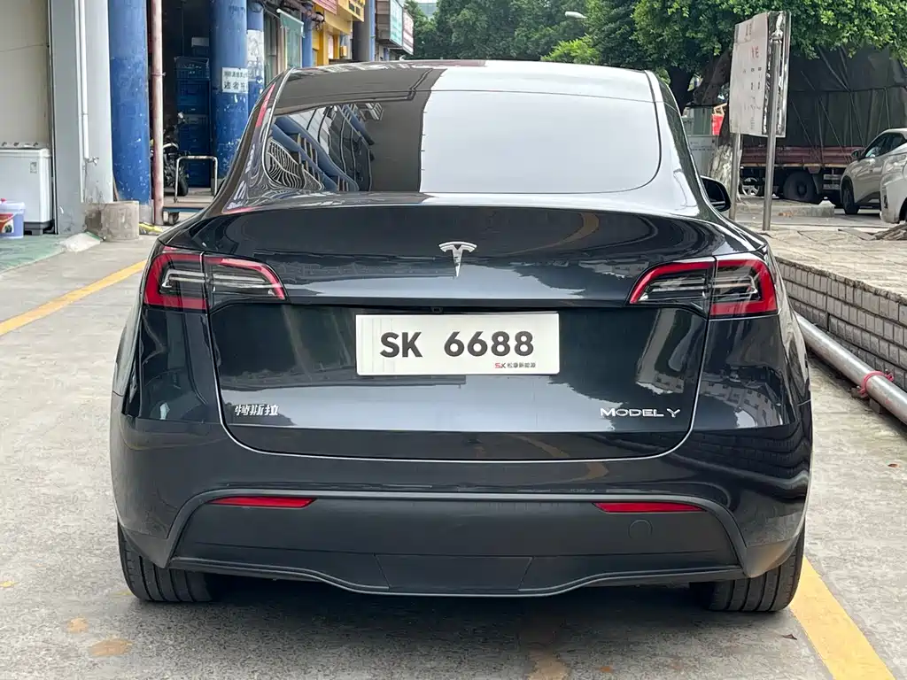 Tesla Model Y — миниатюра 6
