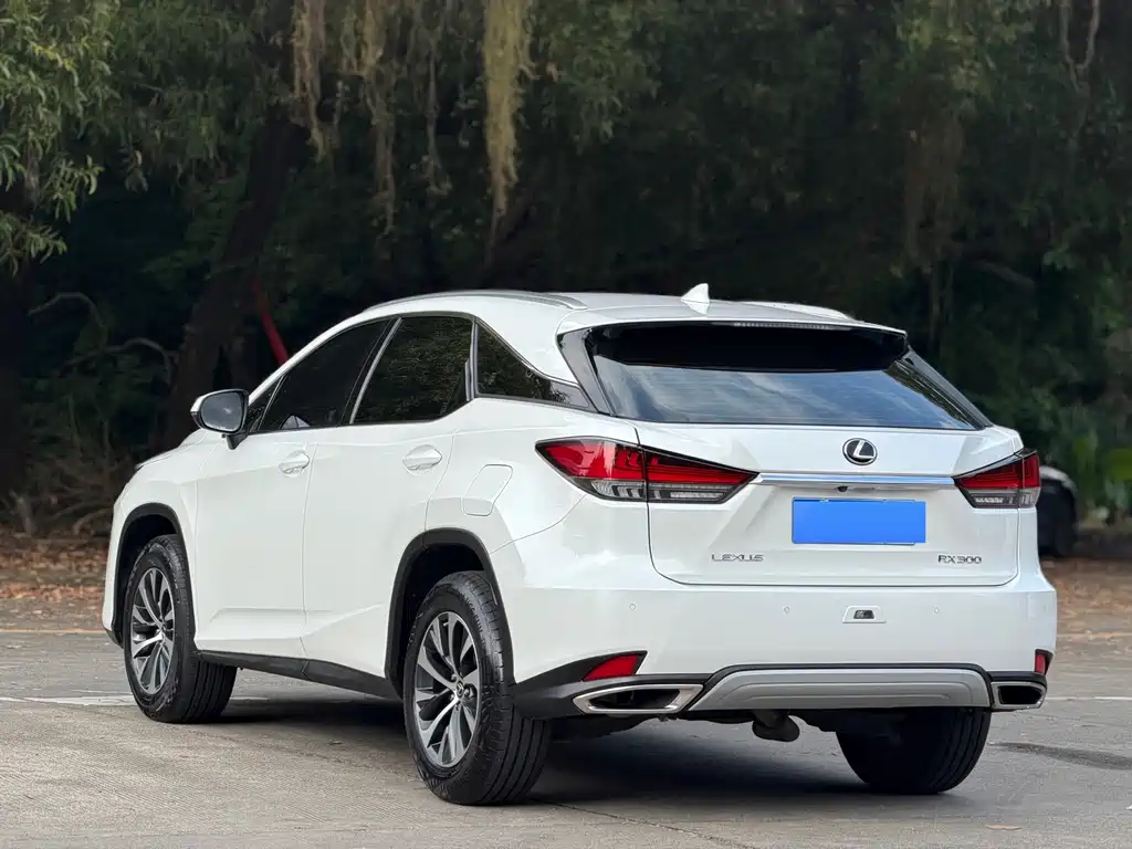 Lexus RX — миниатюра 15