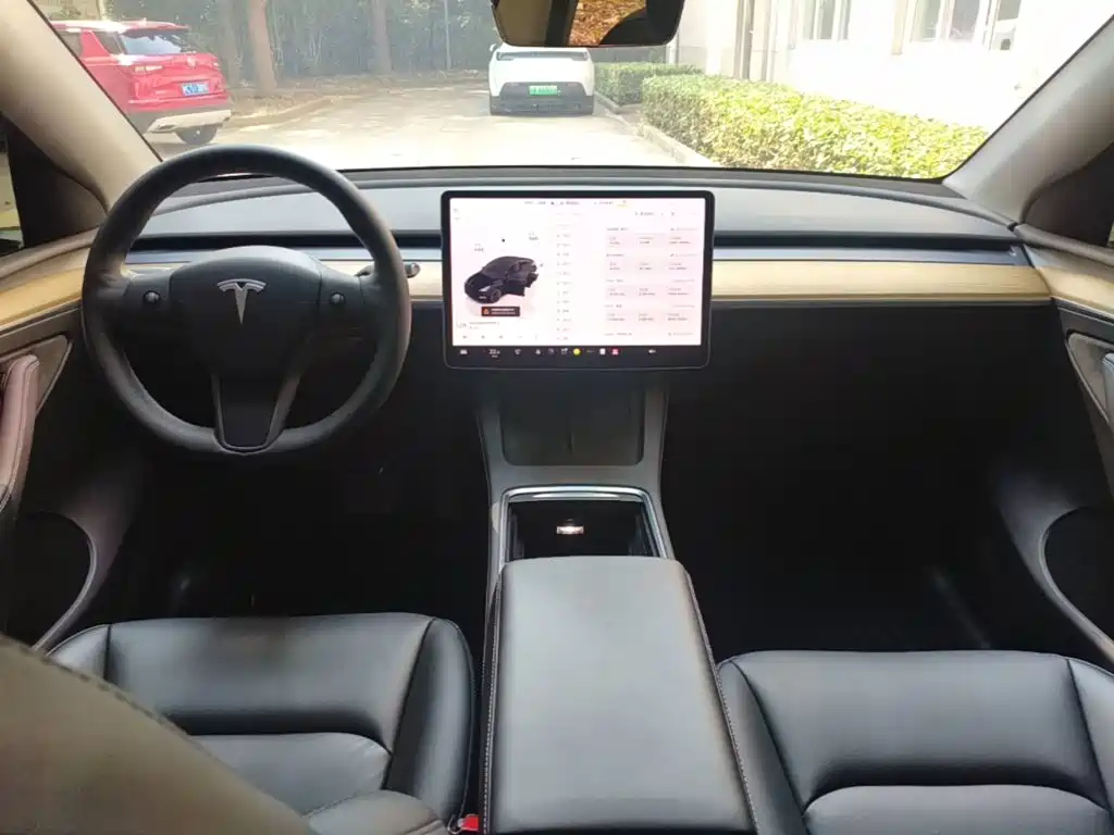 Tesla Model Y — миниатюра 10