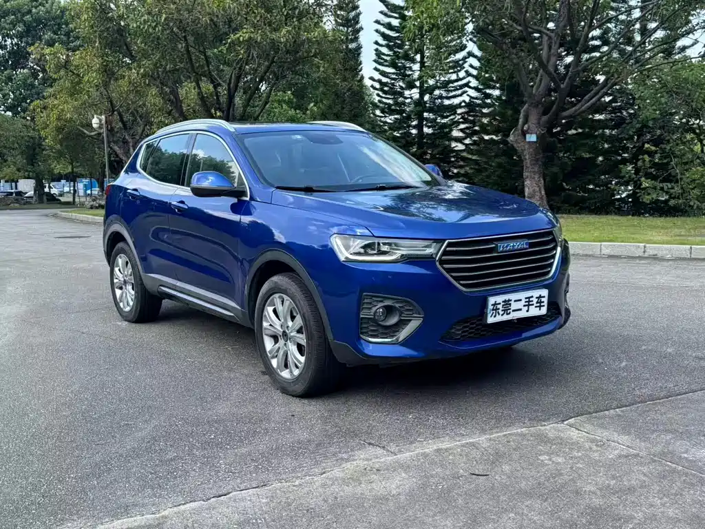 Haval H4 — миниатюра 2