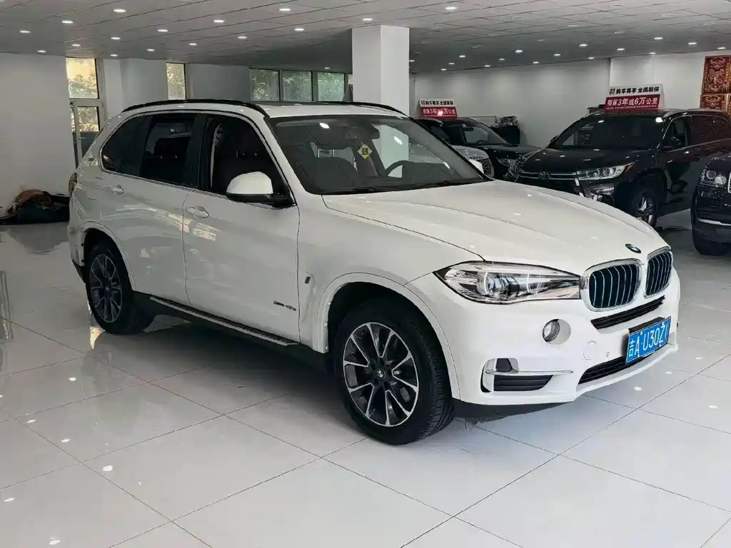 BMW X5 New Energy (Import) — миниатюра 3
